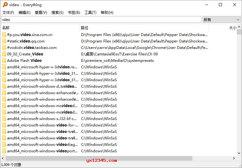 高级电脑文件和文件夹搜索软件-everything everything绿色中文版