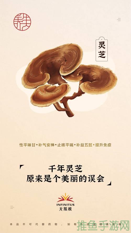 [小说新品]千年灵芝掌中珍，开启神奇冒险之旅！-52KMS