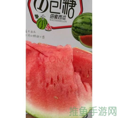 “西瓜甜蜜乐”-52KMS
